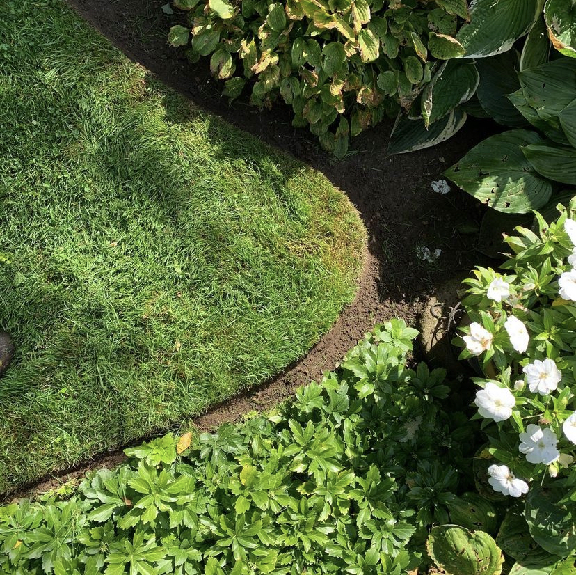 Trimming, Edging & Weeding